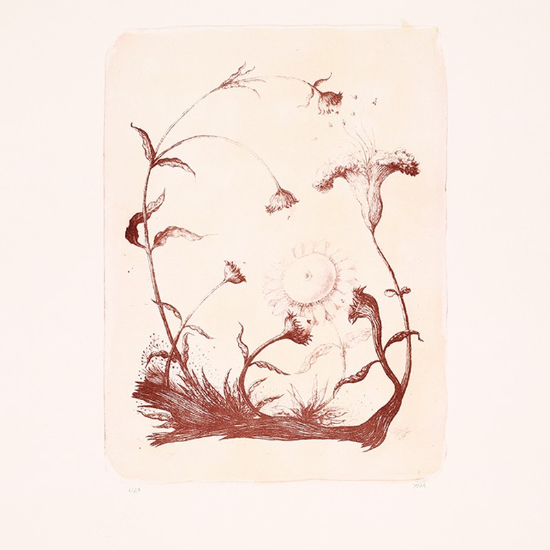 Flores