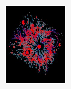 Splash 5