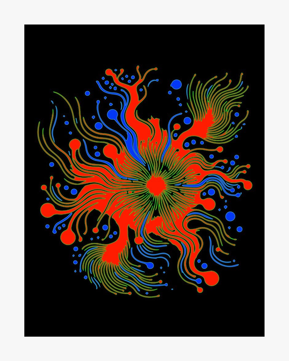 Splash 4